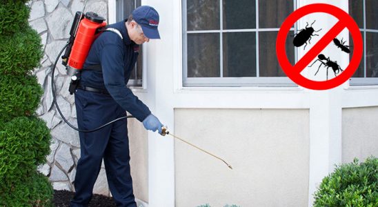 Gülağaç Bit İlaçlama böcek ilaçlama ve haşere kontrolü — ilaclama-tr.com